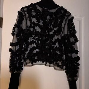 Zara Black Sheer Ruffle Blouse